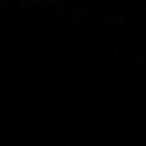 Meet your Posher, Esther